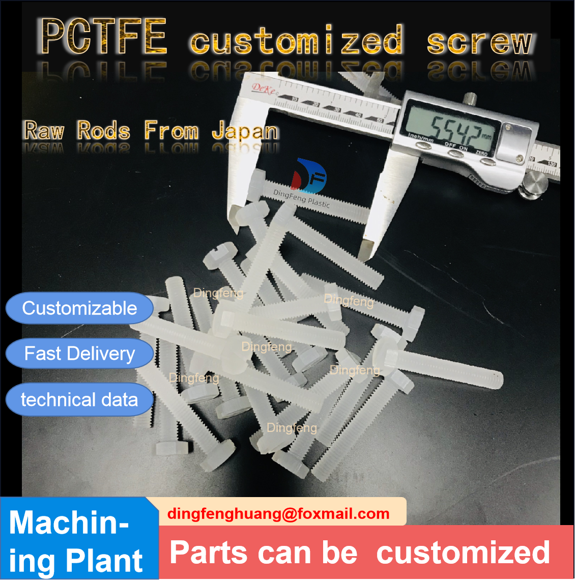 PCTFE Screws and bolts